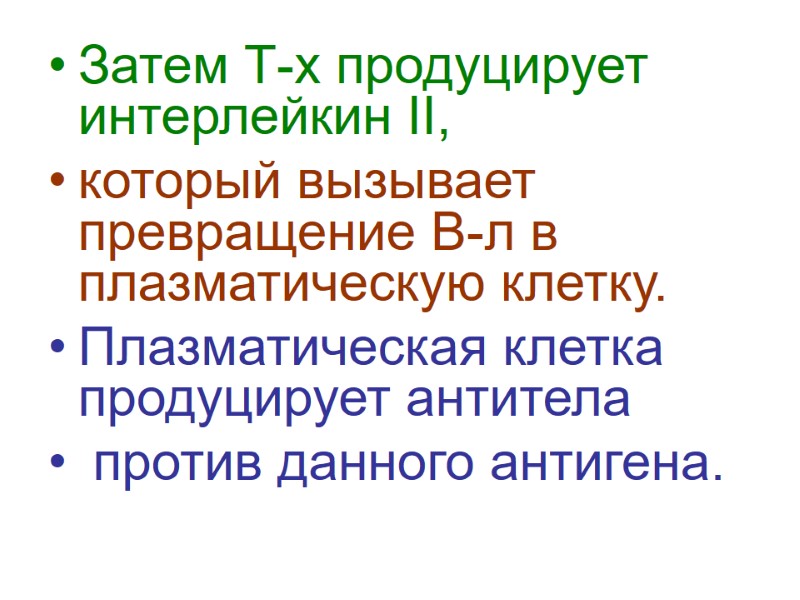 Затем Т-х продуцирует интерлейкин II,  который вызывает превращение В-л в плазматическую клетку. Плазматическая